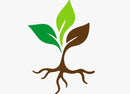 Plantswood